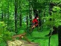 Mountain Bike pentru a juca on-line