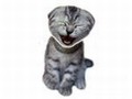 Laughing Cat pentru a juca on-line