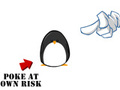 Poke Pinguin pentru a juca on-line