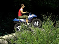 Jungle ATV pentru a juca on-line