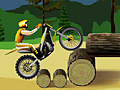 Stunt Dirt Bike pentru a juca on-line