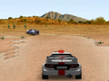 3D Rally pentru a juca on-line