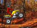 Quad Extreme Racer pentru a juca on-line