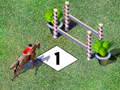 Show Jumping pentru a juca on-line