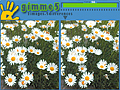 Gimme 5 pentru a juca on-line