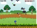 Sonic in Garden pentru a juca on-line