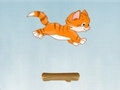 Kitty Jump pentru a juca on-line