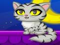 Purrfect Kitten pentru a juca on-line