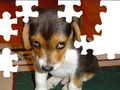 Cute Dog Puzzle pentru a juca on-line