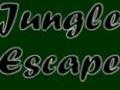 Jungle Escape pentru a juca on-line