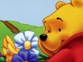 Pooh obiecte ascunse pentru a juca on-line