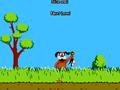 Duck Hunting pentru a juca on-line