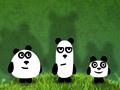 Panda Adventure pentru a juca on-line