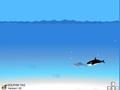 Dolphin Hunt pentru a juca on-line