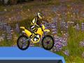 Hillblazer FMX pentru a juca on-line