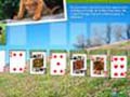 Animal Planet Solitaire pentru a juca on-line