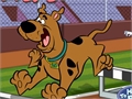 Scooby Doo - Steeplechase pentru a juca on-line